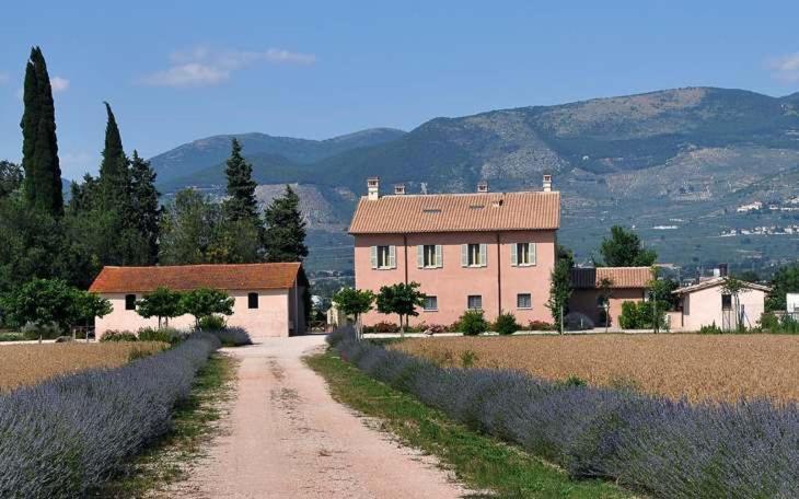 Country House Casco Dell'Acqua Trevi Dış mekan fotoğraf