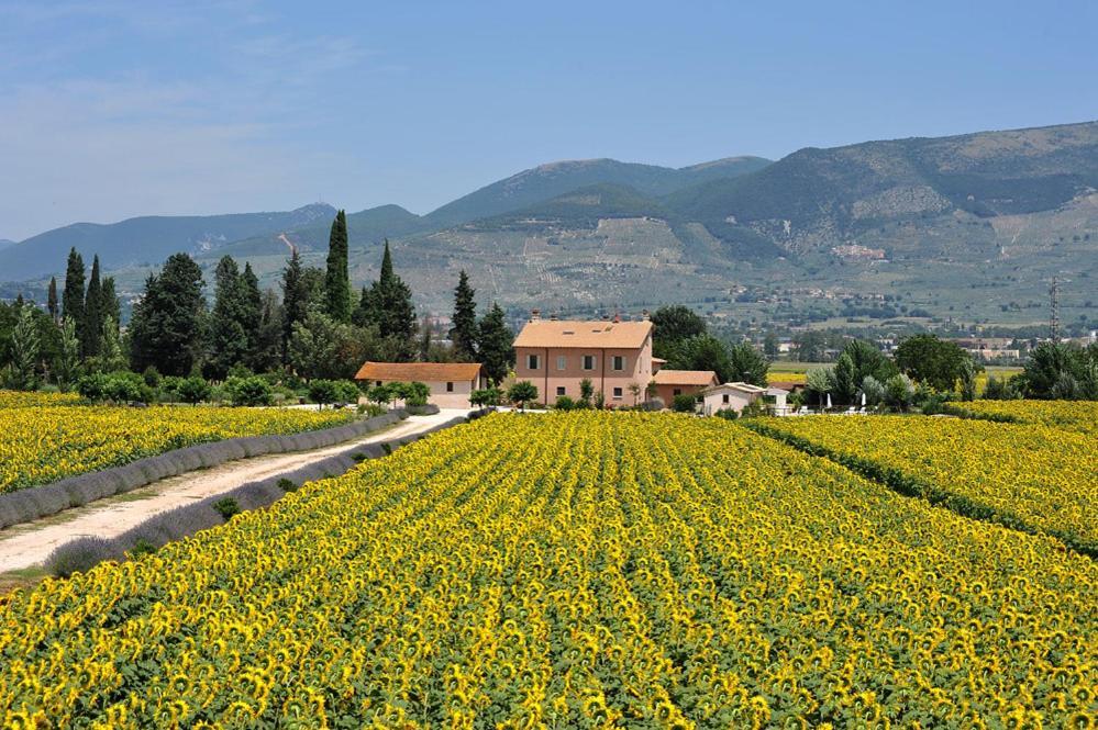 Country House Casco Dell'Acqua Trevi Dış mekan fotoğraf